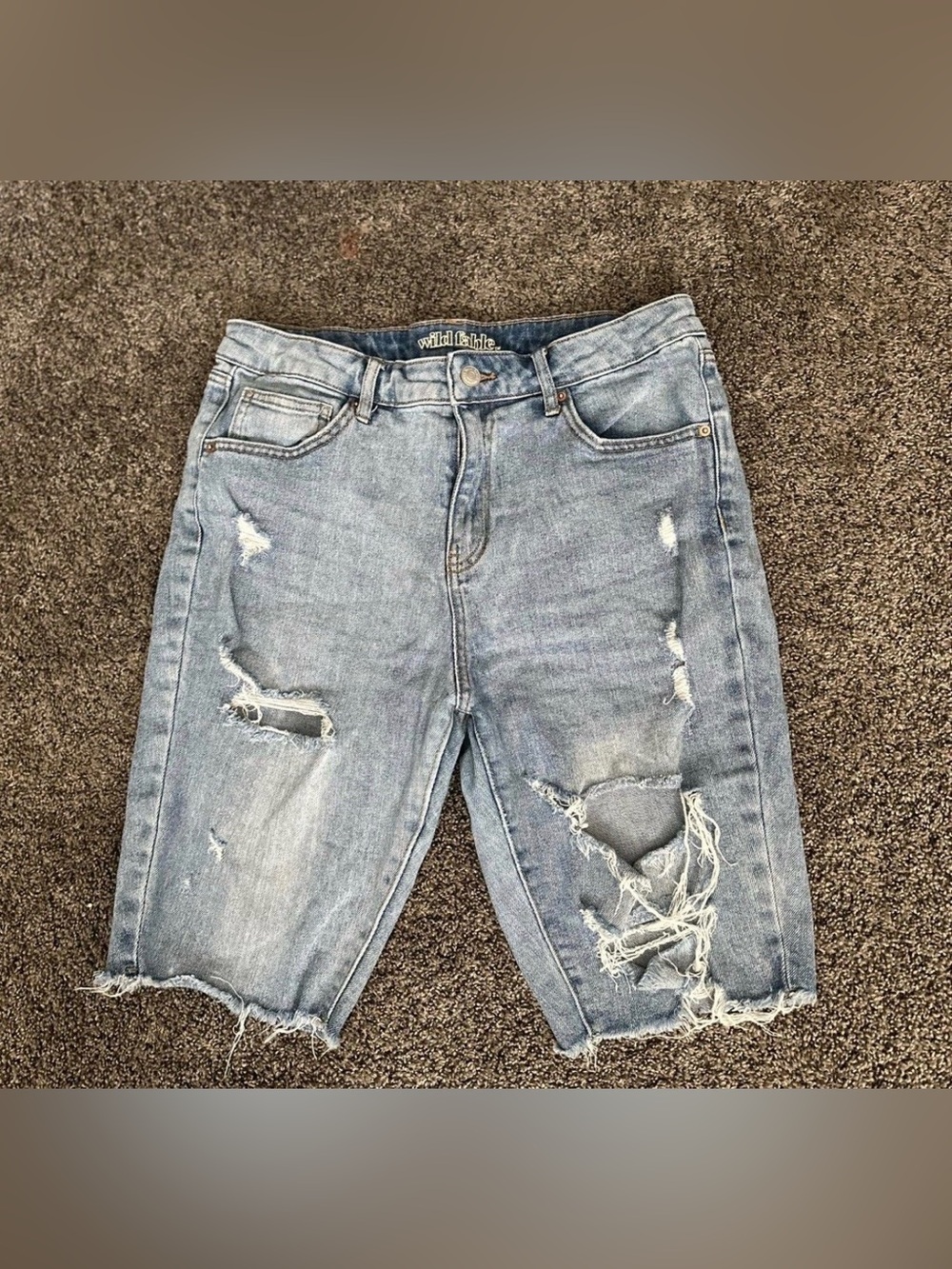 Wild Fable Light Blue Shorts Size 10 0372